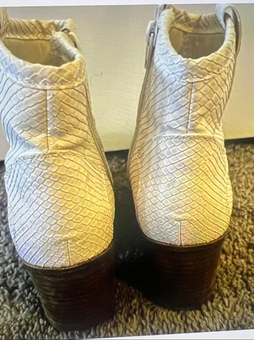 Dirty Laundry Zip up Ankle Boots